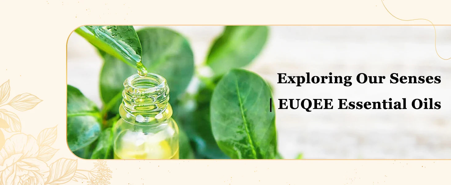 EUQEE 10ML Natural Essential Oils Eucalyptus Spearmint Vanilla Lavender Lemon Oregano Oil For Humidifier DIY Soap,Candle Making